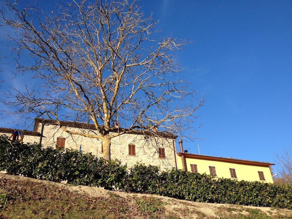 Agriturismo Cailuca Pietralunga  Zewnętrze zdjęcie