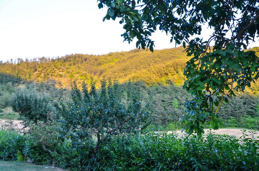 Agriturismo Cailuca Pietralunga  Zewnętrze zdjęcie